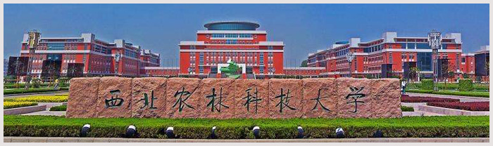 西北农林科技大学.jpg