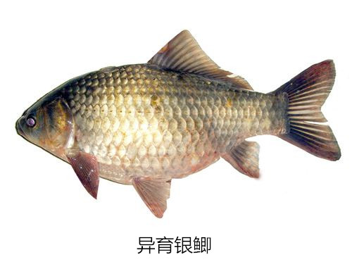 0667b0cd865ea99a7a06dba1a9783960_副本.jpg