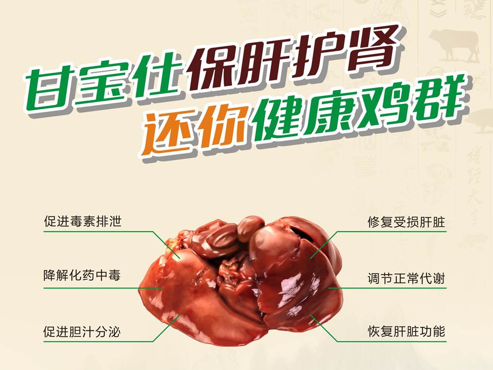 图片6.jpg